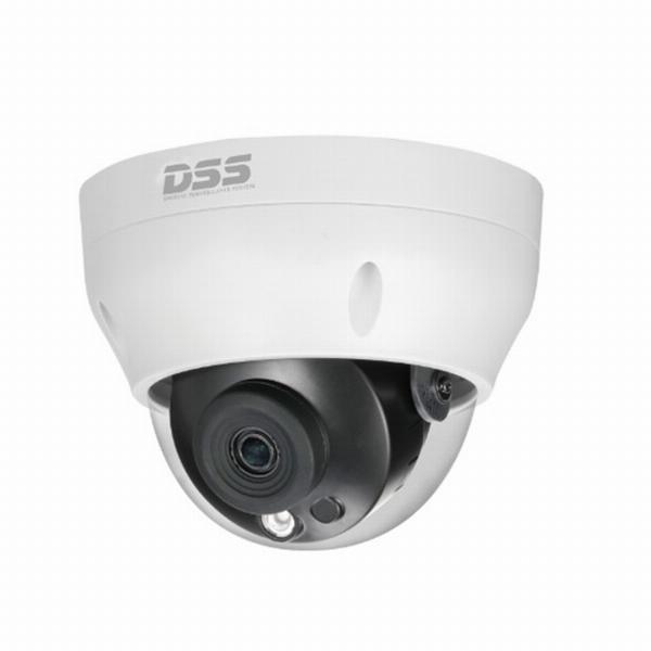 Camera quan sát IP DAHUA DS2230RDIP-S2 (2.0 megapixel, hồng ngoại 30m)