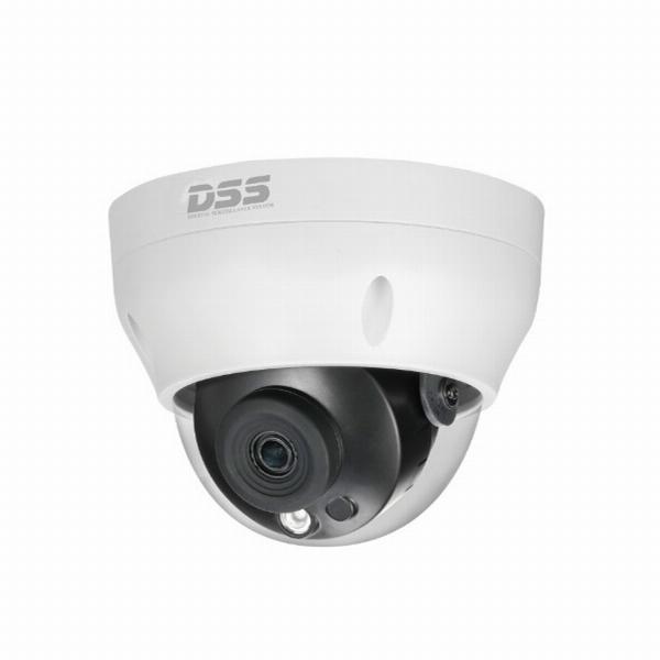 Camera quan sát IP DAHUA DS2431RDIP-S2 (4.0 megapixel, hồng ngoại 30m)